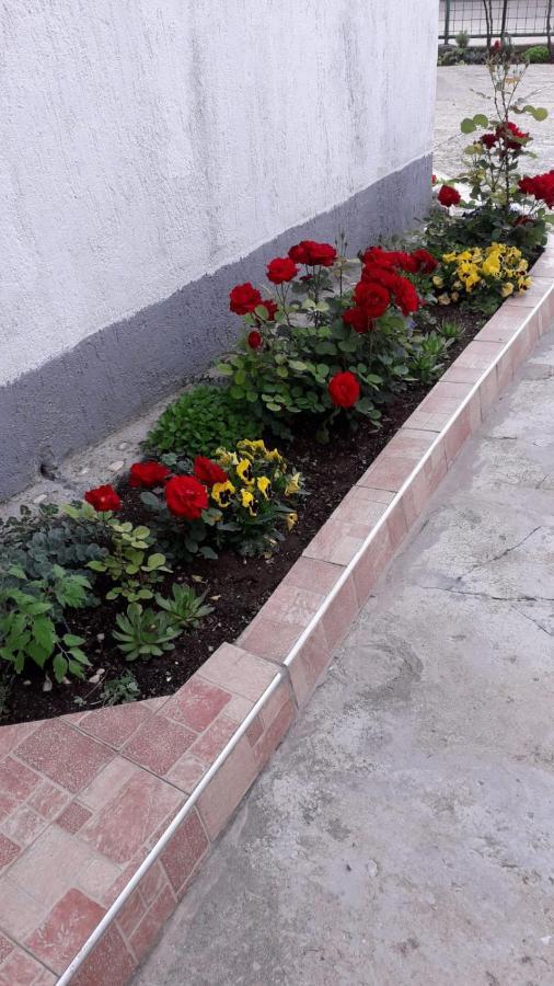 Kuca Za Odmor Varos Vila Vrlika Exterior foto